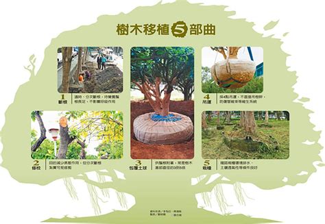 樹穴設計|植穴整備 – 樹花園 Treegarden